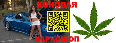 гидра Боровичи