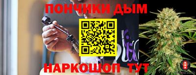 гидра Боровичи