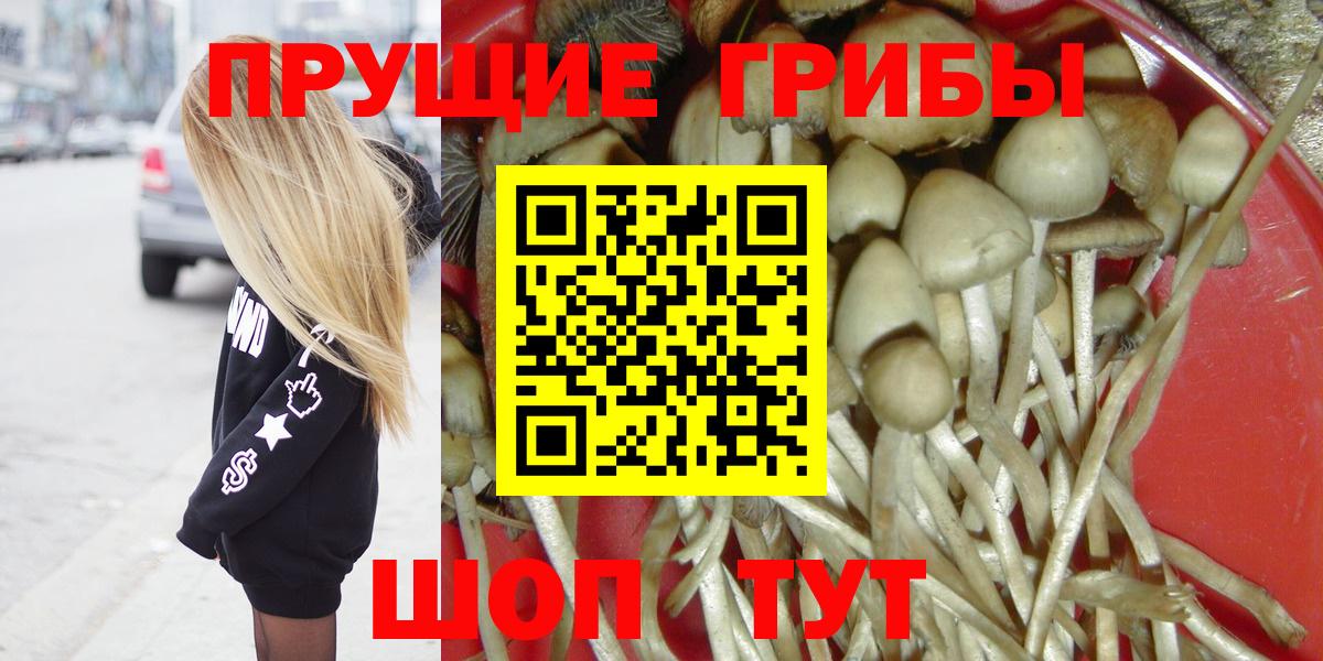 Псилоцибиновые грибы Большой Камень